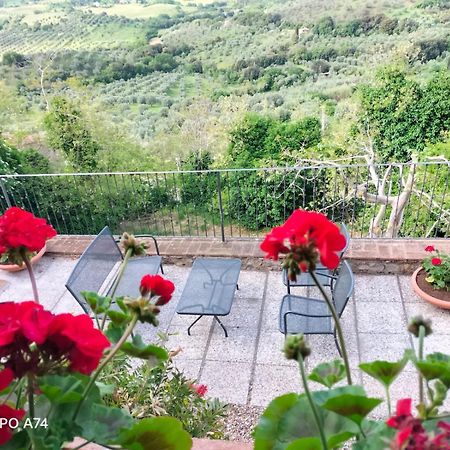 Tenuta Di Montemassi Fattoria Kültér fotó