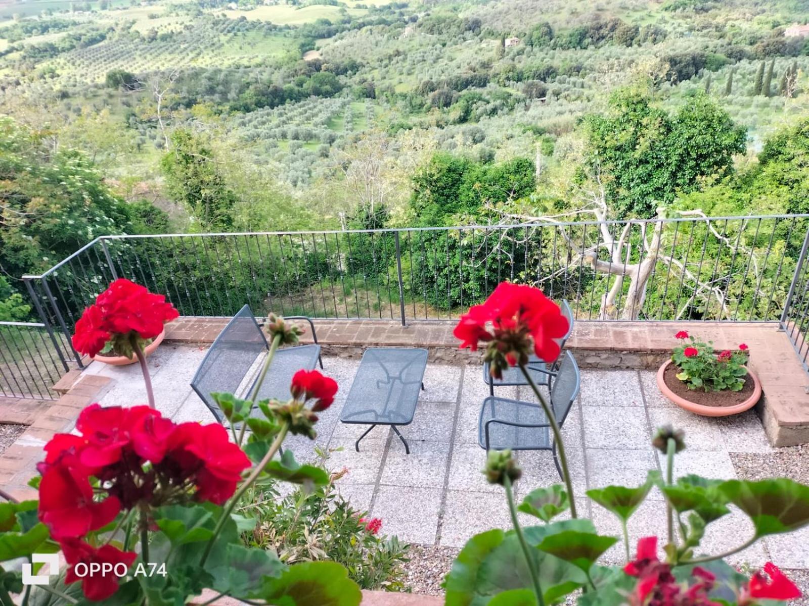 Tenuta Di Montemassi Fattoria Kültér fotó